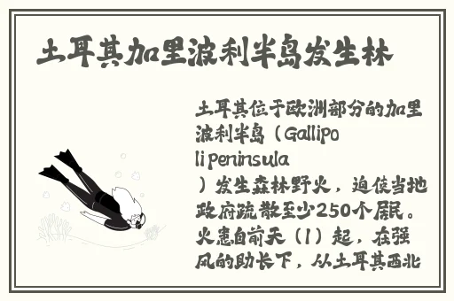 免费黑料网站